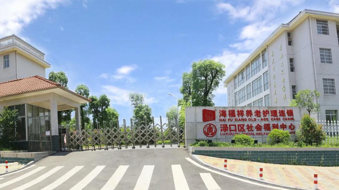 愛，讓他們積極堅守，讓長者們樂享歲月靜好